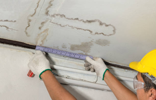 Affordable Water Damage Repair solutions in Belle, WV